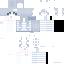 swattedanomaly classic skin texture