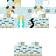 RandomMeowCat classic skin texture