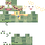 chqr classic skin texture