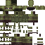 TheEC classic skin texture