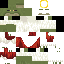 FranticFrog792 classic skin texture