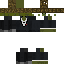 Tortoiser classic skin texture