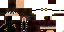 0Fox classic skin texture
