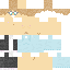carbussy_ classic skin texture