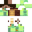 TengulasTurtle classic skin texture