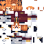 TacoSir classic skin texture