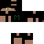 OM0T1I classic skin texture