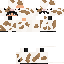 barcats classic skin texture