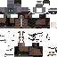 IcraveIcecream classic skin texture