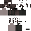 Aiviz classic skin texture
