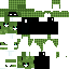 F2PW classic skin texture