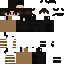 WOLF_HACKER54 classic skin texture