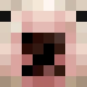 ironc classic skin texture