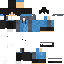 MineDartV classic skin texture