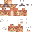 noodlecat337 classic skin texture