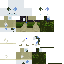 PudiSh classic skin texture