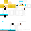 SGUD classic skin texture