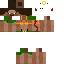 Skife classic skin texture