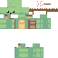 SkywarsTurtle classic skin texture