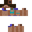 Romain200IQ classic skin texture