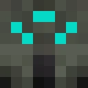 S_S_Hosseini classic skin texture