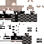 Petrushku221 classic skin texture