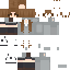 PleBoii Minecraft skin preview