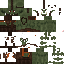 charailius classic skin texture