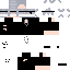 ShinyFridays classic skin texture