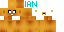 L4Carina classic skin texture