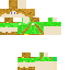 Le_Link classic skin texture