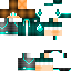 ilikepizza1124 classic skin texture