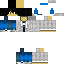 SwiftIcy classic skin texture