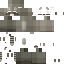 Raccoonism classic skin texture