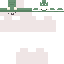 cqrrots Minecraft skin preview