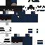 Precedency classic skin texture