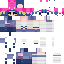 SwiftyIsBad classic skin texture