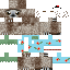 Jeremoo_ classic skin texture