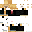 Akomododragon classic skin texture