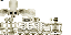 Day_Owl classic skin texture