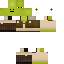 Gamer65789 classic skin texture