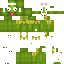 icytobig classic skin texture