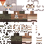 SteamDory Minecraft skin preview