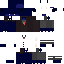 ninjanarwhal123 classic skin texture