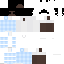 Prime_qwilzyy classic skin texture