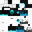 FLOWER_OF_TRUTH classic skin texture