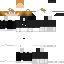 ItsDisk classic skin texture