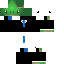 TurtleDudeH classic skin texture
