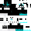 Dudelidududen34 classic skin texture