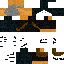 ZerTeix_ classic skin texture